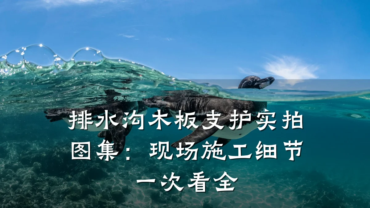 排水沟木板支护实拍图集:现场施工细节一次看全