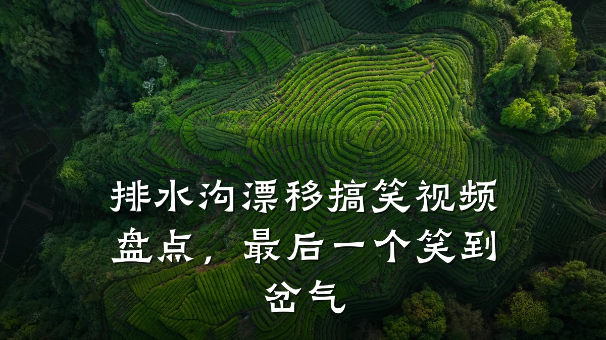 排水沟漂移搞笑视频盘点，最后一个笑到岔气