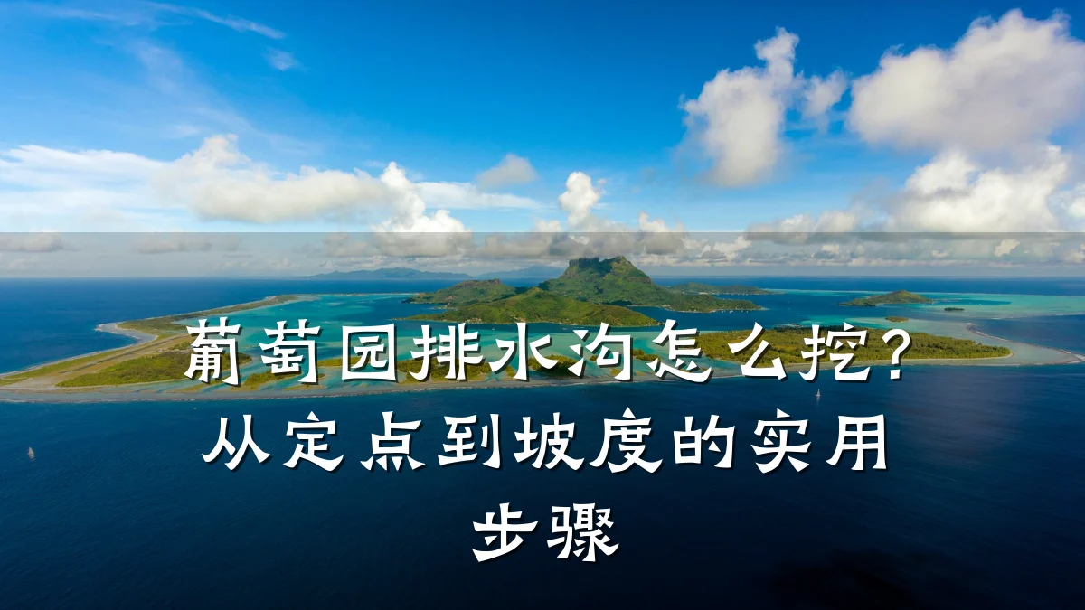 葡萄园排水沟怎么挖?从定点到坡度的实用步骤