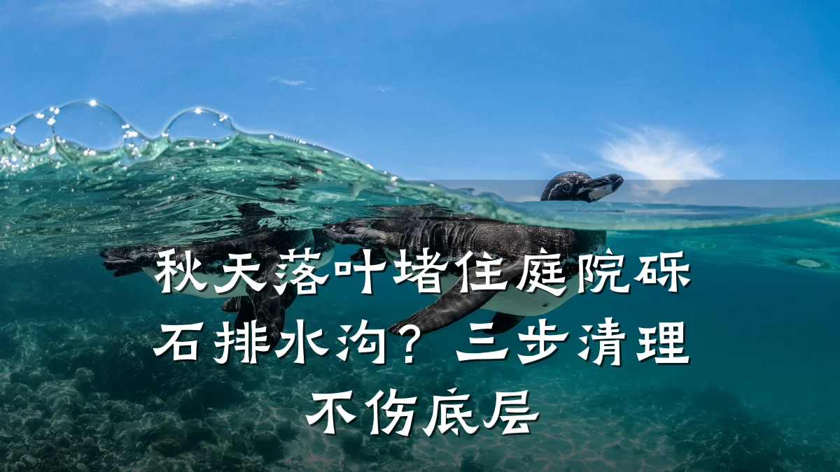秋天落叶堵住庭院砾石排水沟?三步清理不伤底层