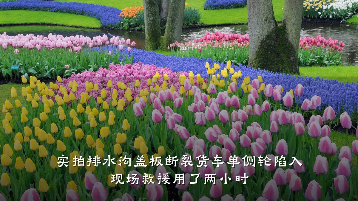 实拍排水沟盖板断裂货车单侧轮陷入 现场救援用了两小时