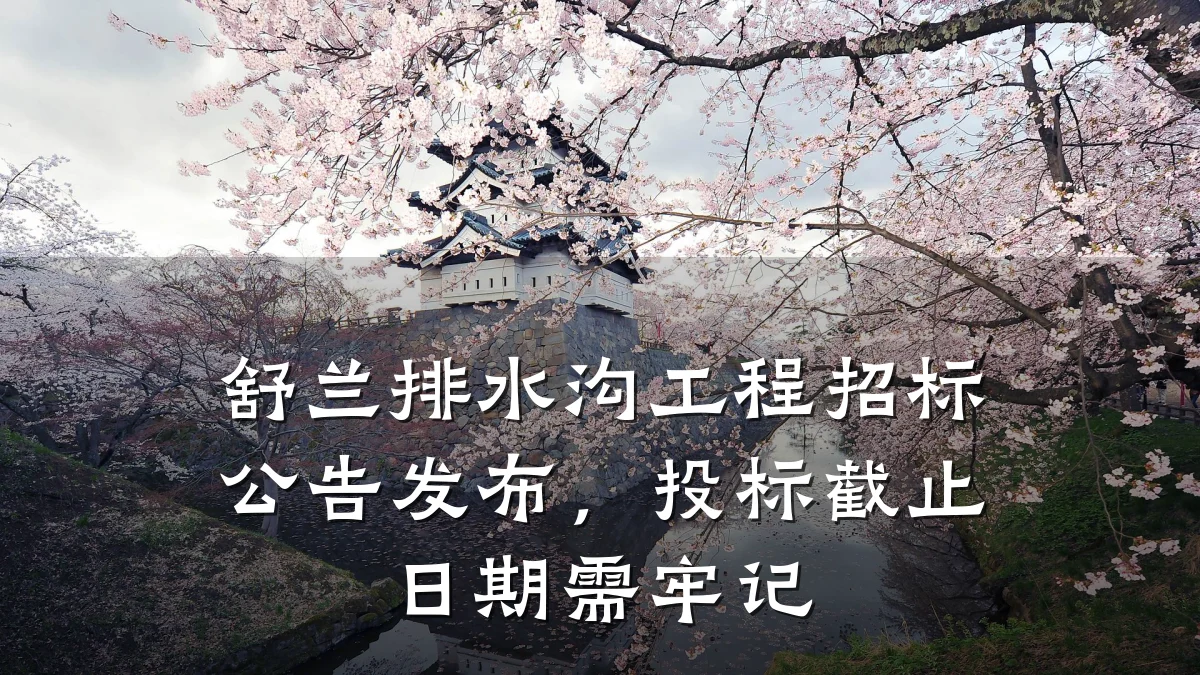 舒兰排水沟工程招标公告发布,投标截止日期需牢记
