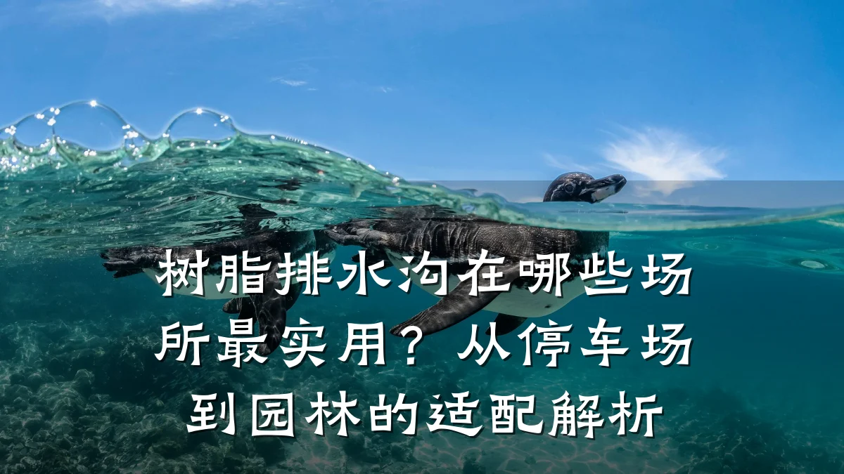树脂排水沟在哪些场所最实用?从停车场到园林的适配解析