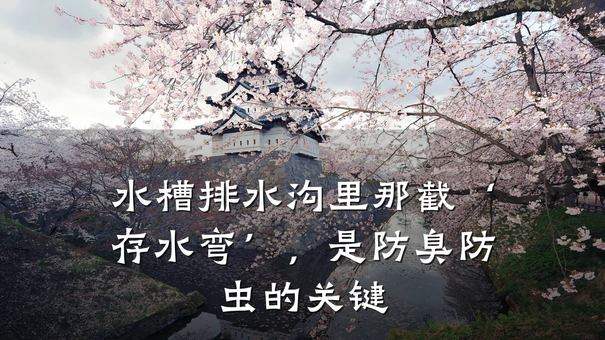 水槽排水沟里那截‘存水弯’,是防臭防虫的关键