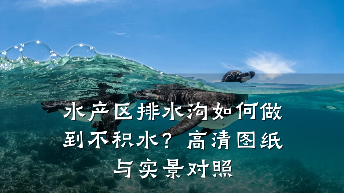 水产区排水沟如何做到不积水?高清图纸与实景对照