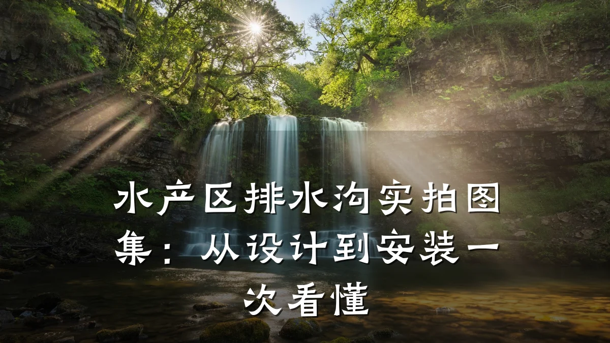 水产区排水沟实拍图集:从设计到安装一次看懂