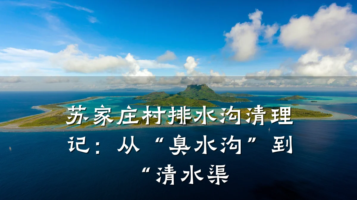 苏家庄村排水沟清理记：从“臭水沟”到“清水渠