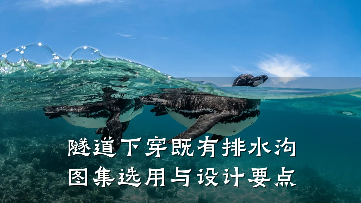 隧道下穿既有排水沟图集选用与设计要点