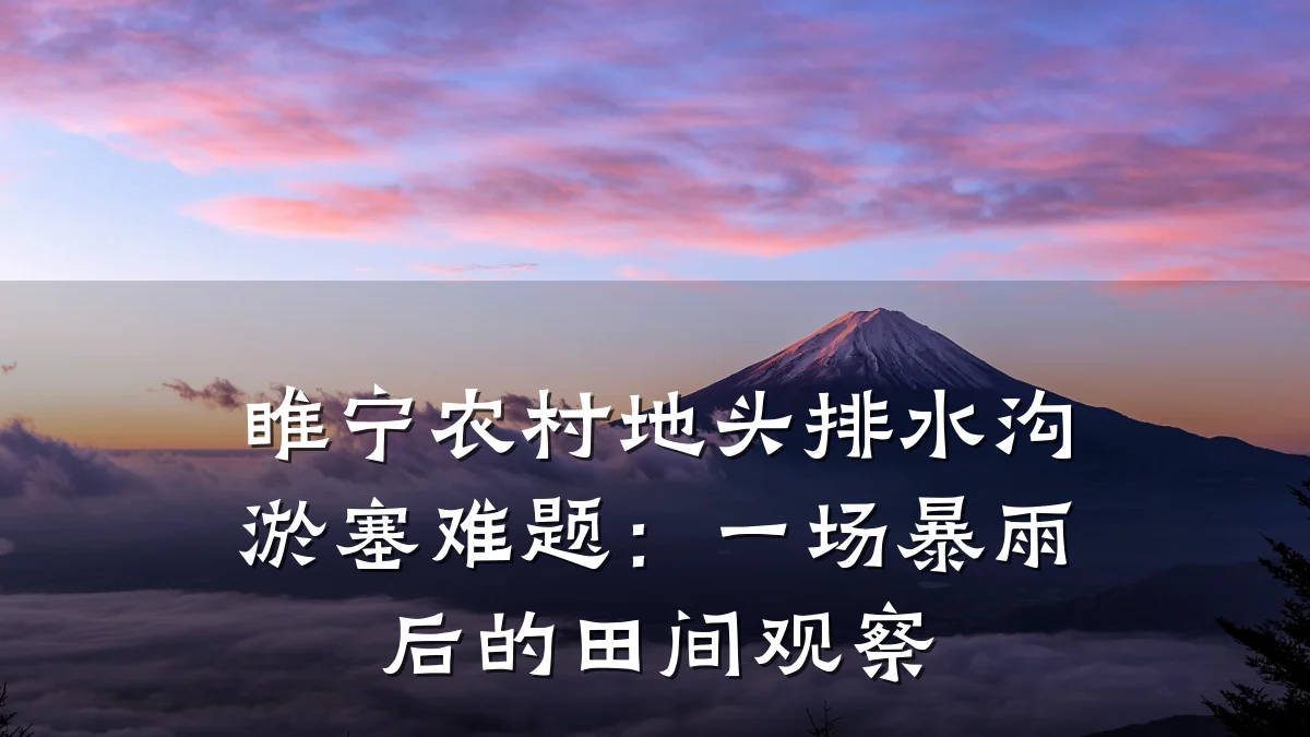 睢宁农村地头排水沟淤塞难题:一场暴雨后的田间观察