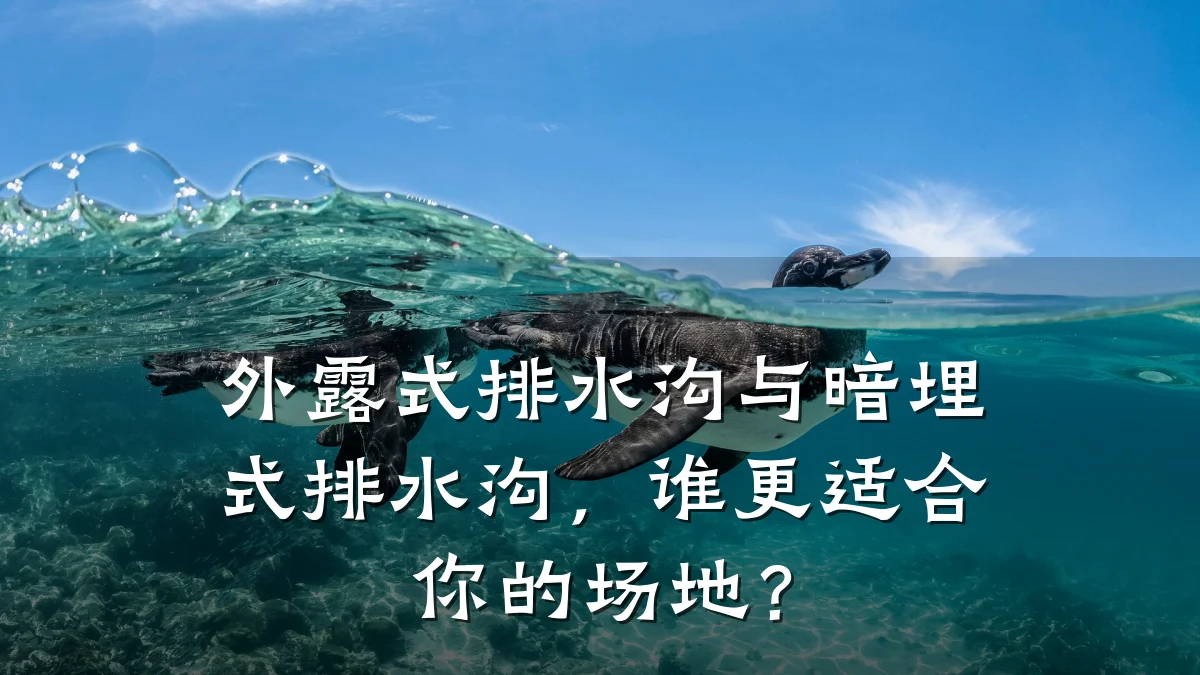 外露式排水沟与暗埋式排水沟,谁更适合你的场地?