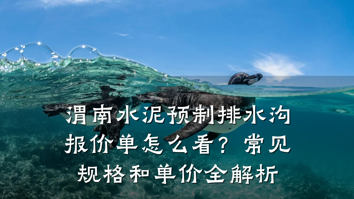 渭南水泥预制排水沟报价单怎么看?常见规格和单价全解析