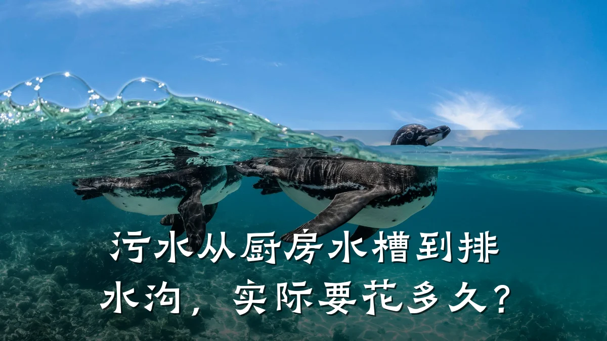 污水从厨房水槽到排水沟，实际要花多久？