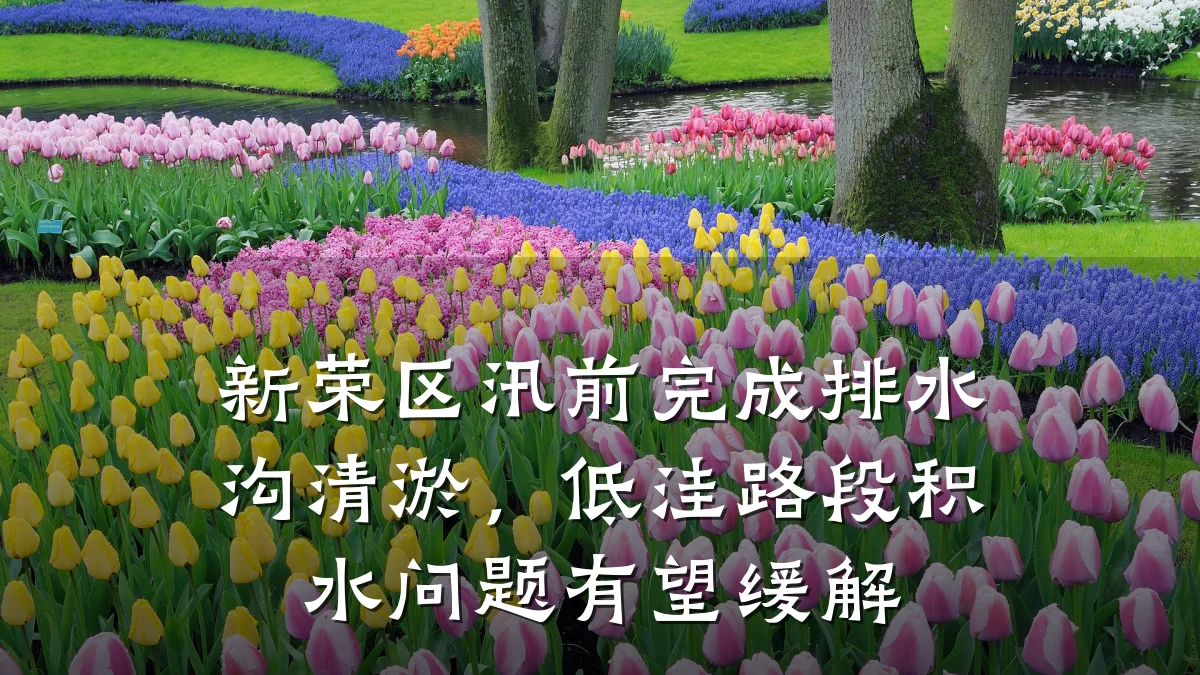 新荣区汛前完成排水沟清淤,低洼路段积水问题有望缓解