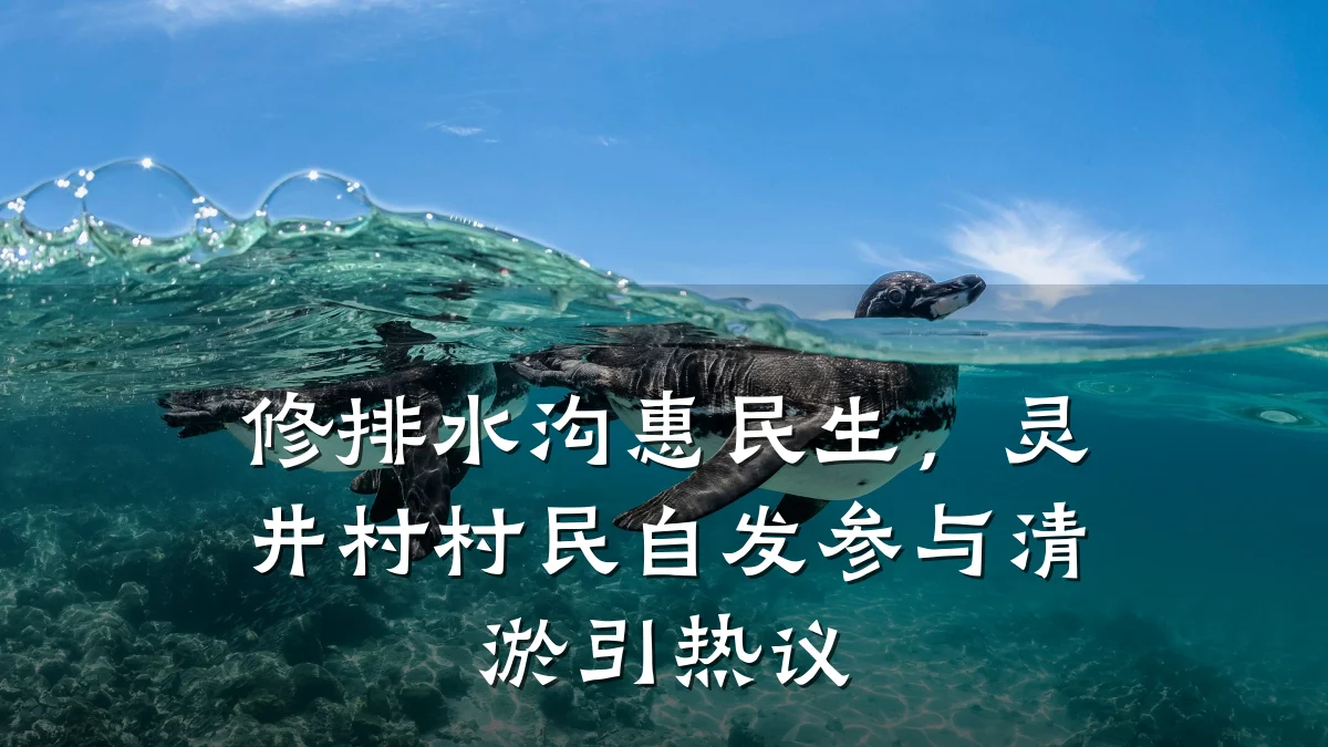 修排水沟惠民生,灵井村村民自发参与清淤引热议