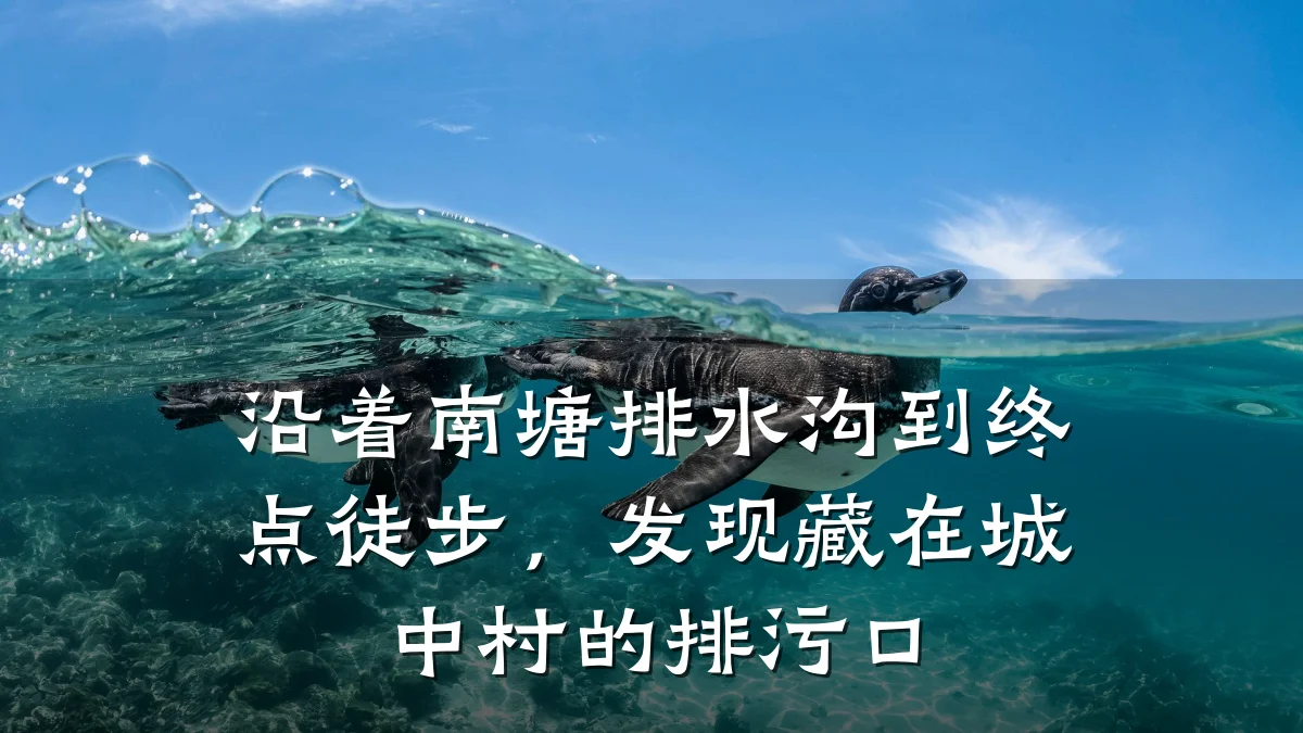 沿着南塘排水沟到终点徒步,发现藏在城中村的排污口
