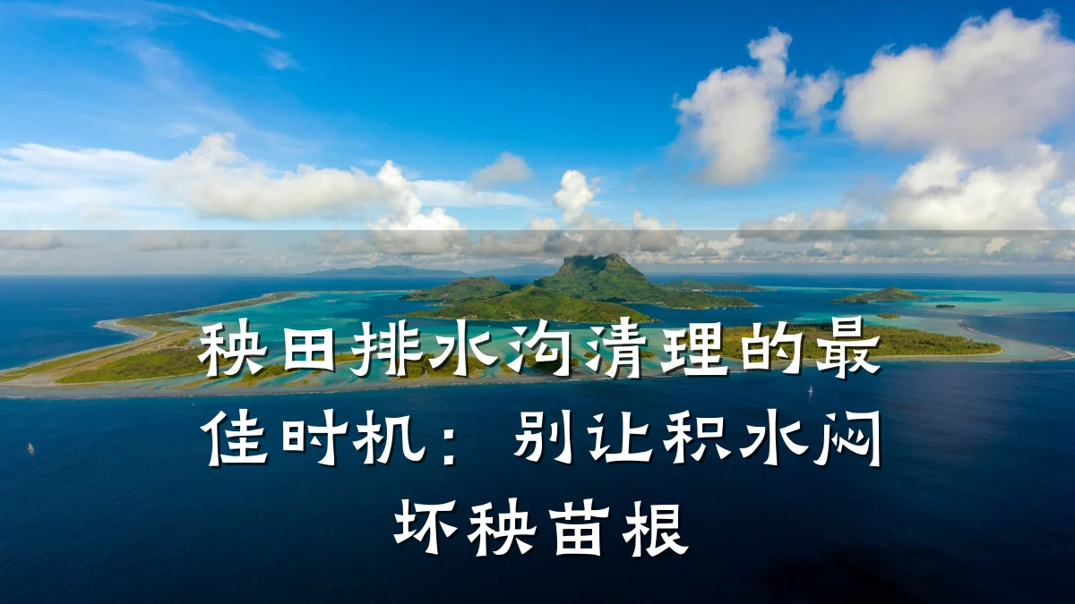 秧田排水沟清理的最佳时机:别让积水闷坏秧苗根