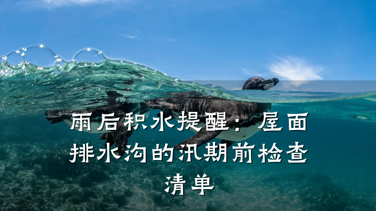 雨后积水提醒:屋面排水沟的汛期前检查清单