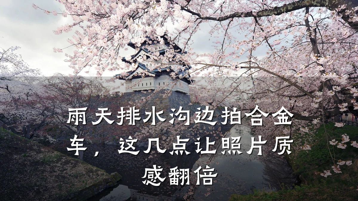 雨天排水沟边拍合金车,这几点让照片质感翻倍