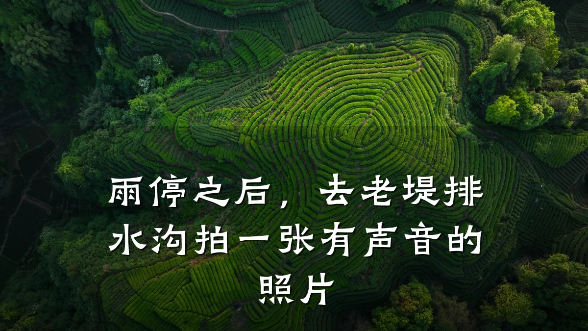 雨停之后，去老堤排水沟拍一张有声音的照片