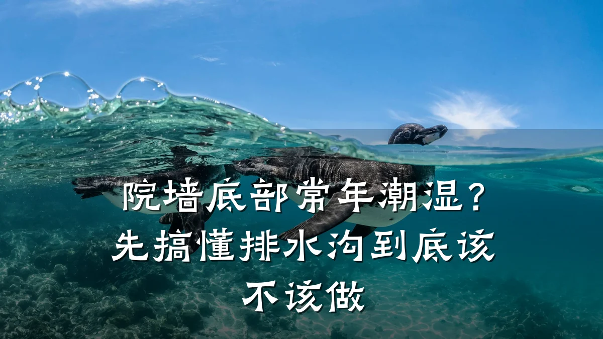 院墙底部常年潮湿?先搞懂排水沟到底该不该做