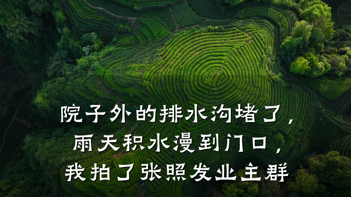 院子外的排水沟堵了,雨天积水漫到门口,我拍了张照发业主群