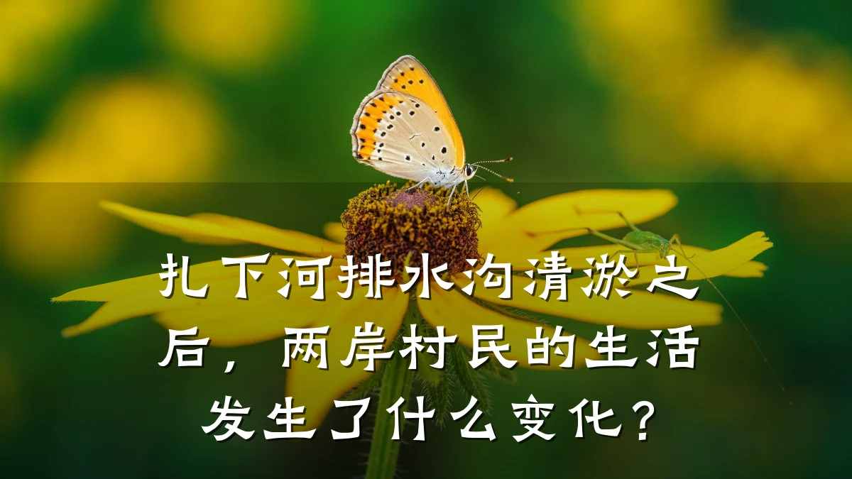 扎下河排水沟清淤之后，两岸村民的生活发生了什么变化？