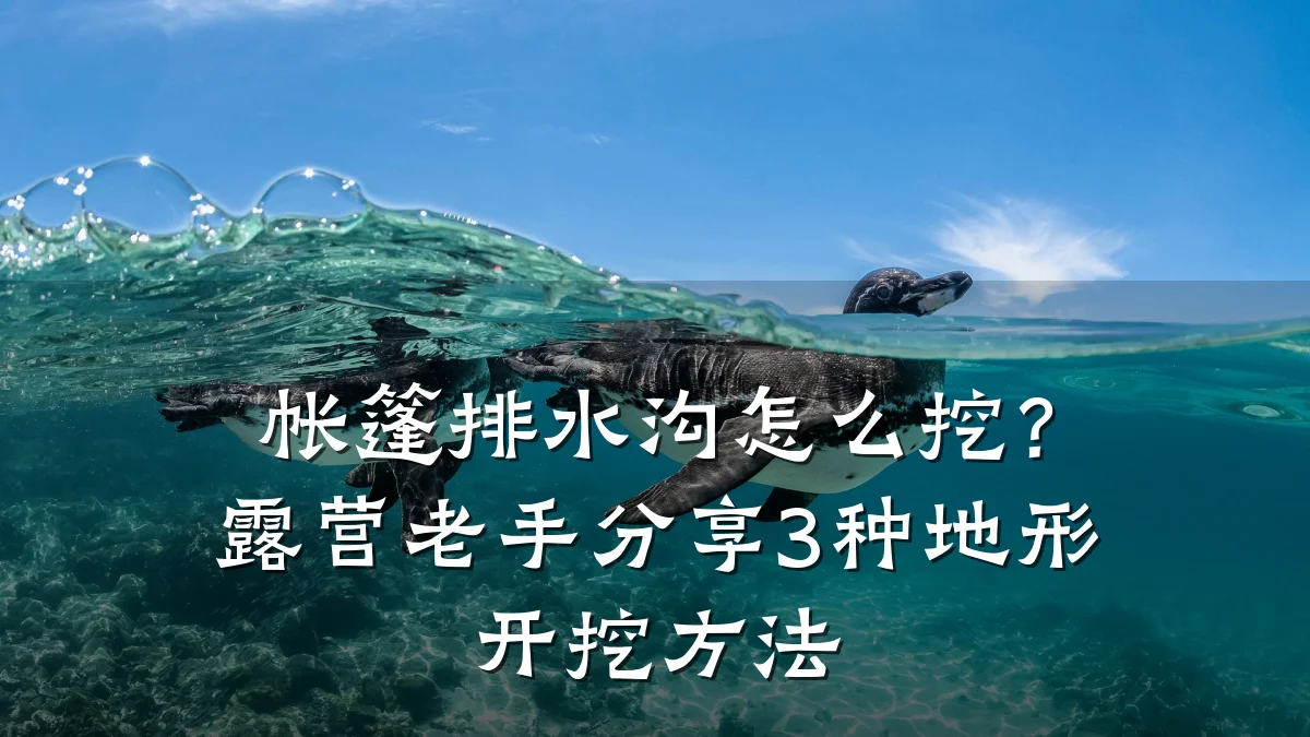 帐篷排水沟怎么挖?露营老手分享3种地形开挖方法
