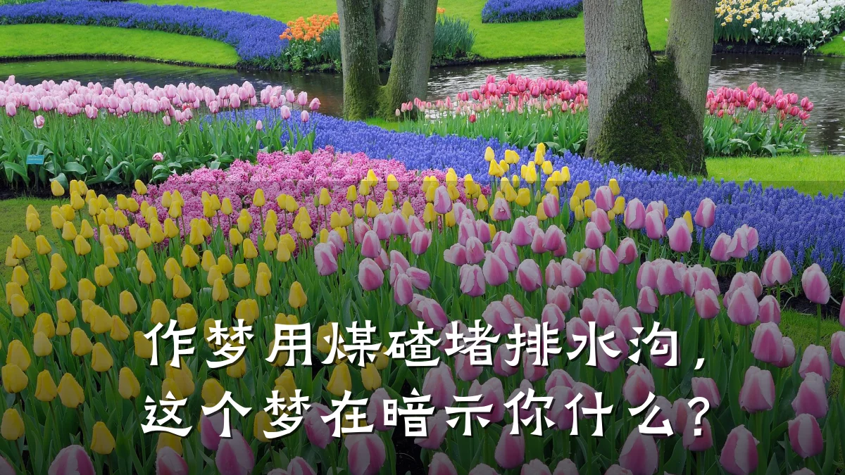 作梦用煤碴堵排水沟,这个梦在暗示你什么?